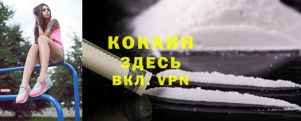 прущая мука Арсеньев