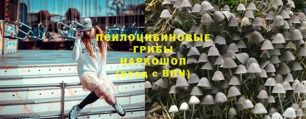прущая мука Аркадак