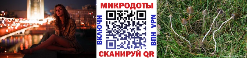 где найти наркотики  MEGA ONION  Псилоцибиновые грибы GOLDEN TEACHER  Правдинск 