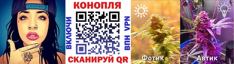 Конопля Amnesia  Правдинск 